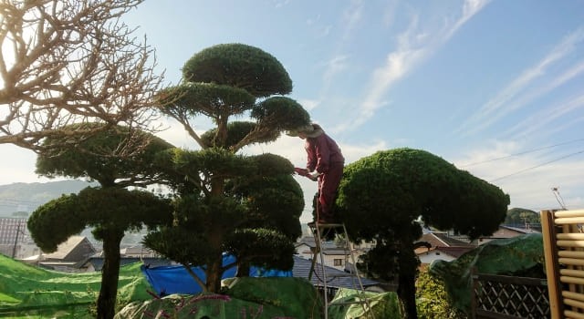 業者に依頼する剪定・草刈りのメリットとデメリット