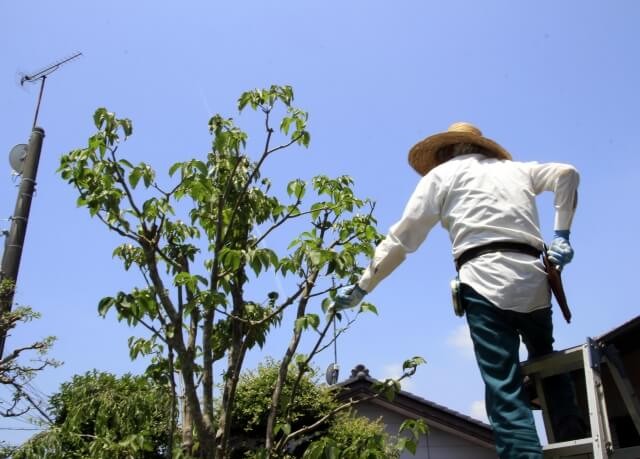 大阪府豊中市の植木屋事情